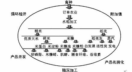 水稻循环经济 从田间到餐桌的绿色革命